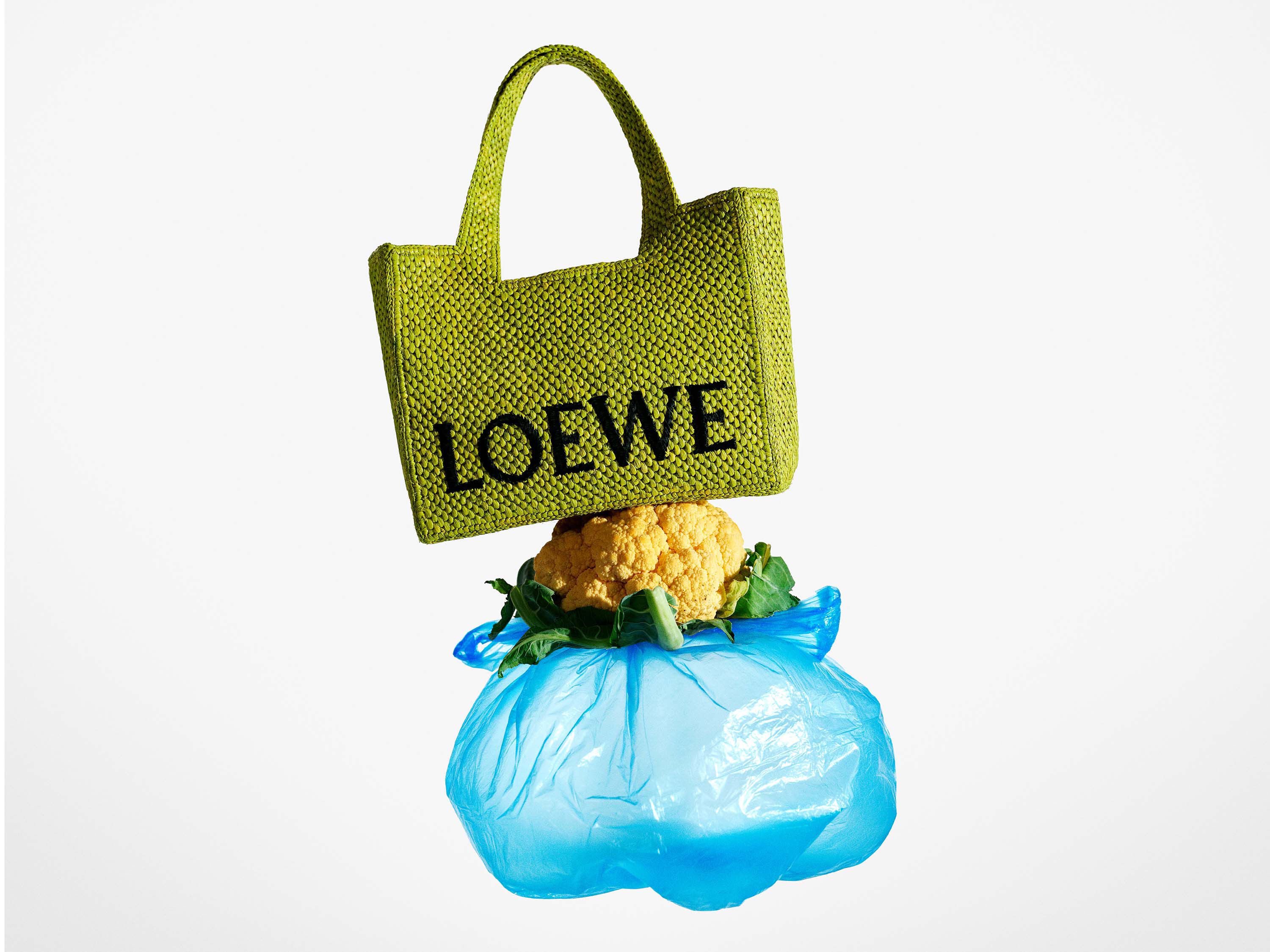 Loewe paula 2019 top